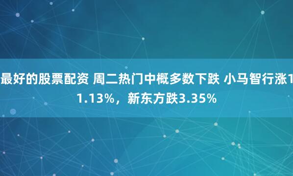 最好的股票配资 周二热门中概多数下跌 小马智行涨11.13%，新东方跌3.35%